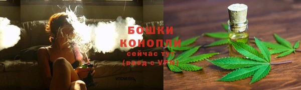 apvp Ельня