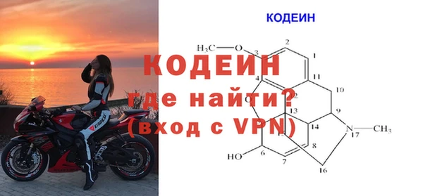 амф Заволжье